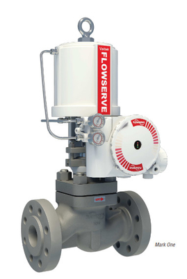 Station de réduction de pression et de déchauffement avec actionneur Valtek VR Flowserve et positionneur de vanne 3200MD