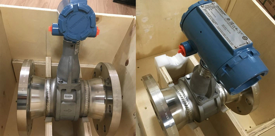 Mètre de débit de la série 8800/8750w d'Emerson Rosement