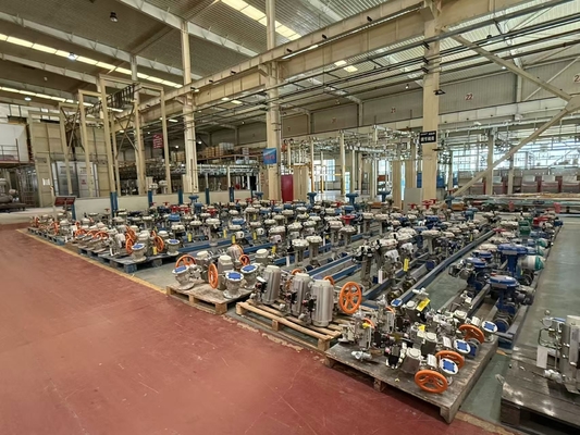 Usine de vannes de régulation pneumatiques pour centrales électriques - Positionneur Emerson Fisher DVC6200 personnalisé - Prix en vente