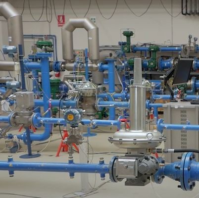 Régulateur de pression autonome au gaz naturel industriel Emerson Fisher LS200