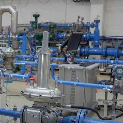 Régulateur de pression autonome au gaz naturel industriel Emerson Fisher LS200