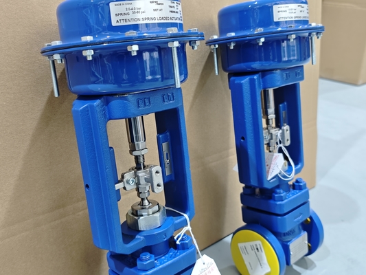 Corps de vanne de régulation Spirax Sarco KE73 DN15-100 Bride BSP ANSI DIN Normes ISO9000