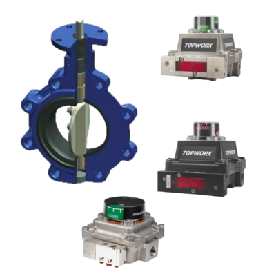 TopWorx TXP-M21GNMM NAMUR Positionneur de soupape anti-flamme