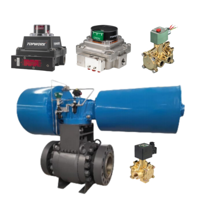 TopWorx TXP-M21GNMM NAMUR Positionneur de soupape anti-flamme