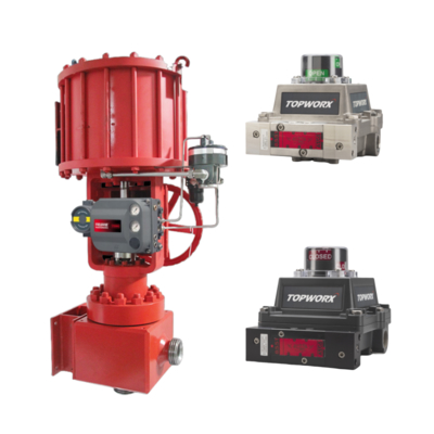 TopWorx TXP-M21GNMM NAMUR Positionneur de soupape anti-flamme