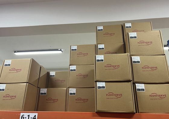 China Globe Control Valve Flowserve 3841-43MA-D43R-1130-00 Industrial Valve Positioner and Fisher 67CFR-239 Filter Regulator