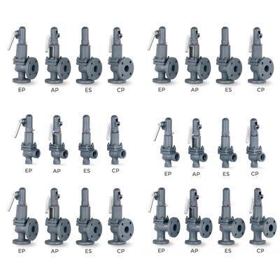 VYC Valve industrielle AIT 485 486 494 495 496 596 696 Valve d'évacuation de la pression Valve de sécurité à pleine ouverture avec ressort de compression
