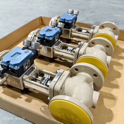 Samson 3241 Corps de vanne Globe avec actionneur pneumatique 3277 Positionneur de vanne 3725