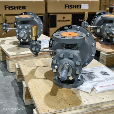 Fisher Regulator 1190 Vanne de couverture de gaz basse pression Vanne de réduction de pression pilotée pour montage sur skid