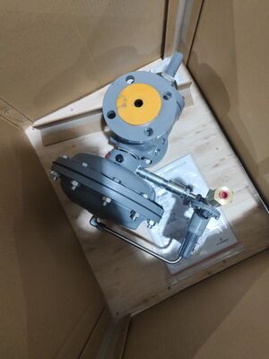 Fisher Regulator 1190 Vanne de couverture de gaz basse pression Vanne de réduction de pression pilotée pour montage sur skid