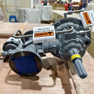 Régulateur réduisant la pression en aluminium de la série TNP de DN 50 FISHER 299H