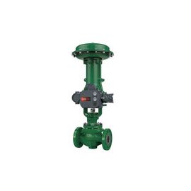 Fisher ET soupape de commande pneumatique d'EZ EWT avec le contrôleur de valve de DVC6200 DVC2000 Digital et le 67CFR 67DFR filtrent le régulateur
