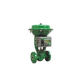 La soupape de commande pneumatique de Fisher GX avec le positionneur de valve de 3620J 3620JP 3610J 3610JP et les 67CFR 67DFR filtrent le régulateur