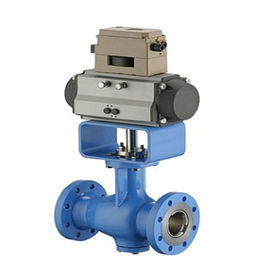 Classe 150 - soupape de commande pneumatique de la classe 300 avec le positionneur de valve de SV11000 Digital