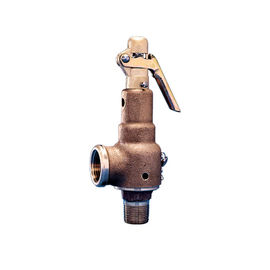 La valve réduisant la pression de chaudières à vapeur/la valve de décompression de sécurité a fileté des connexions de TNP