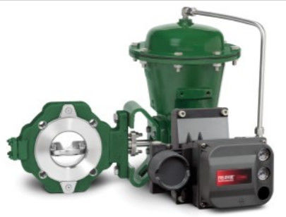 Soupape de commande facile de Fisher e EZ en produit chimique ou hydrocarbure traitant des applications et matériel en acier au carbone, Stainles
