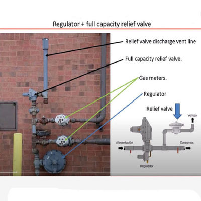Ensemble monté par dérapage modulaire de machine-outil de solution de dispositif de gaz de GNL de Fisher de dérapage de soupape de sécurité d'EZR ou de gaz de régulateur de contre-pression