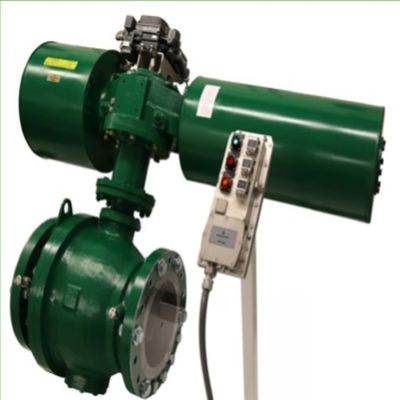 Positionneur de DVC6200 SIS Digital Positioner Control Valve