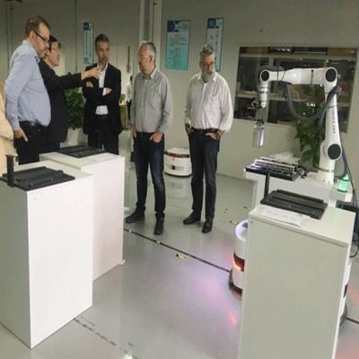 Axe robotique du bras 6 de robot de manipulateur de bras petit E05 féerique pour le robot de polissage