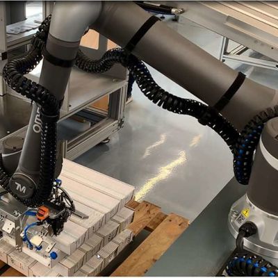 Axe robotique de collaboration du bras OMRON TM12M Robot Arm 6 comme robot de Cobot