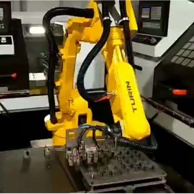 Axe du robot industriel 6 Chine TKB800-6kg-876mm pour charger le robot universel