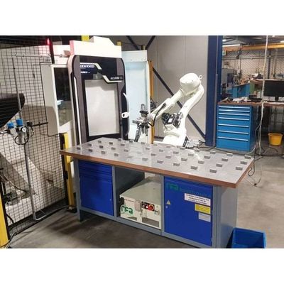6 Axe Robot Arm Palletizer RS020N pour l'automatisation de la manipulation de palettes en tant que robot de palettisation