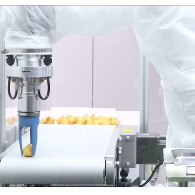 Petit bras robotique industriel à 6 axes VS-050/060 avec une pince à robot CNGBS en tant que robot universel