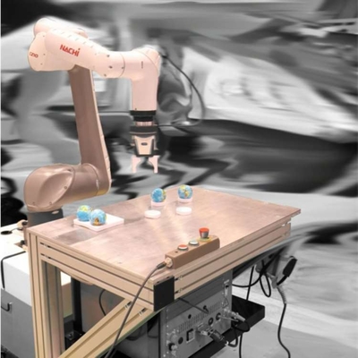 Bras robot cobot 6 axes CZ10-01 avec grippeuse robotique CNGBS pour le ramassage en tant que robot collaboratif