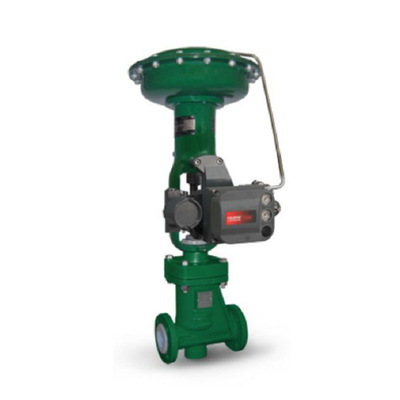 Positionneur pneumatique de valve de commande numérique de RSS avec le régulateur du filtre 67CFR