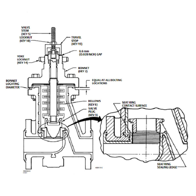 Positionneur pneumatique de valve de commande numérique de RSS avec le régulateur du filtre 67CFR